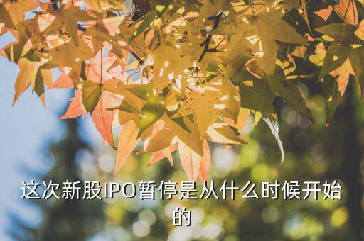 這次新股IPO暫停是從什么時(shí)候開始的