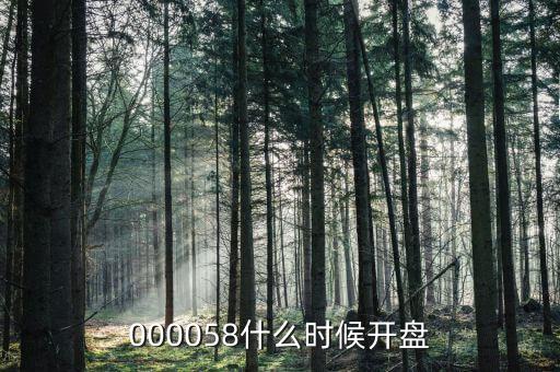 000058什么時(shí)候開盤