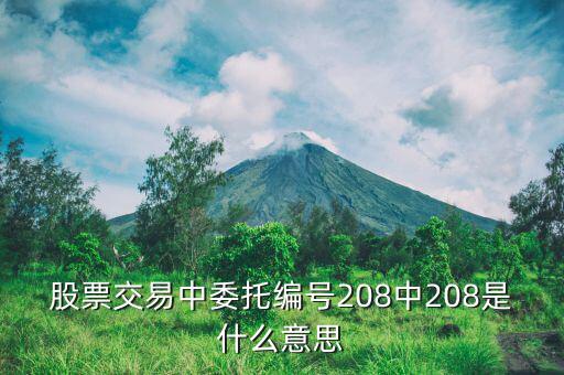 股票交易中委托編號208中208是什么意思