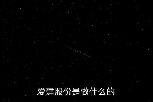 愛建股份是做什么的