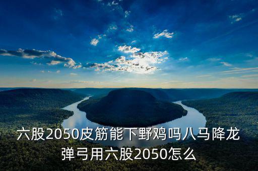 2050四股能下什么貨，2050四股到底配多大的鋼O合適