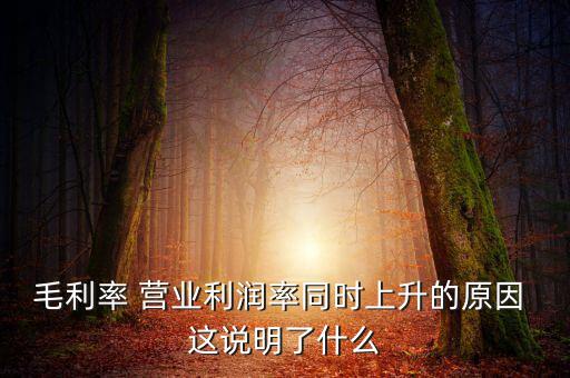 毛利率增長(zhǎng)說(shuō)明什么，增值稅毛利率的高低說(shuō)明什么