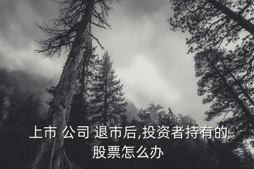 上市公司退市后股票怎么辦