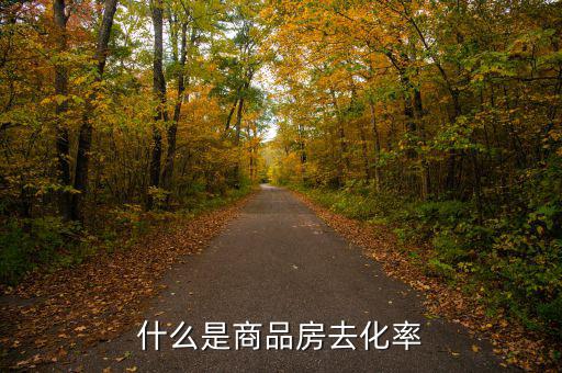 什么是新開樓盤去化率，房產(chǎn)去化率是什么