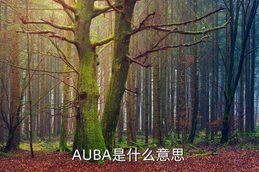 華夏現(xiàn)金增利貨幣a是什么，AUBA是什么意思