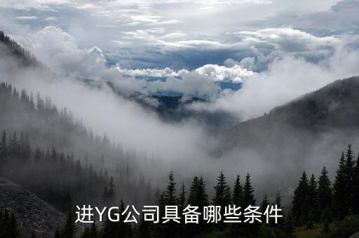 進信托公司有什么要求，進YG公司具備哪些條件