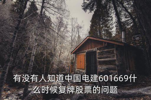 有沒有人知道中國電建601669什么時候復牌股票的問題