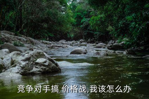 服裝商場里打價格戰(zhàn)怎么辦,市場這么大,價格戰(zhàn)自然而然結(jié)束