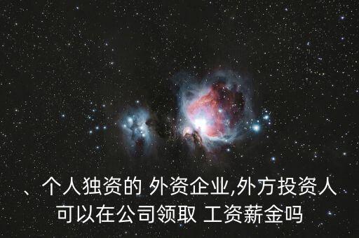 、個人獨資的 外資企業(yè),外方投資人可以在公司領(lǐng)取 工資薪金嗎