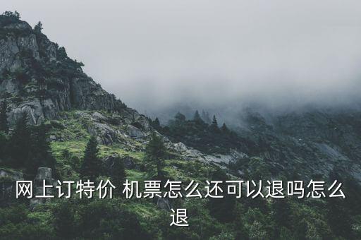 網(wǎng)上訂特價 機票怎么還可以退嗎怎么退