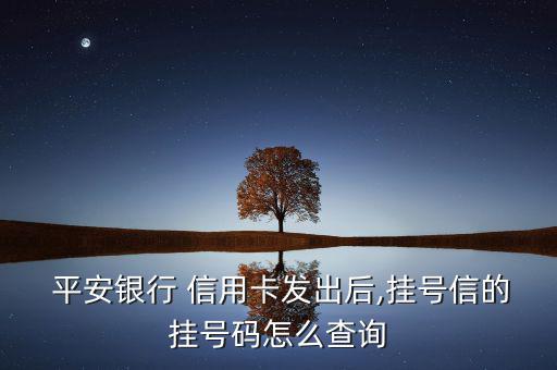 怎么查平安信用卡號(hào),如何查詢銀行信用卡申請(qǐng)進(jìn)度?一文看懂