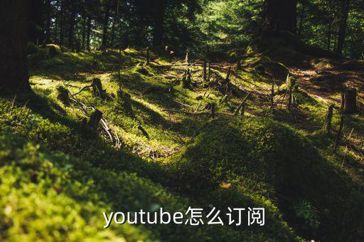 youtube怎么贏利,youtube怎么開(kāi)?