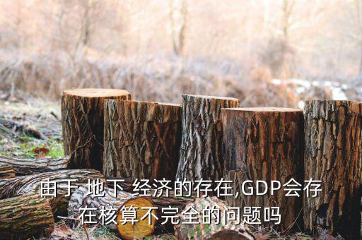 由于 地下 經濟的存在,GDP會存在核算不完全的問題嗎