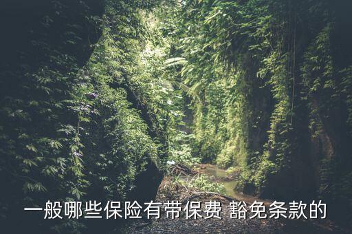 帶豁免功能的保險(xiǎn)怎么買,少兒保險(xiǎn)豁免功能最好是溫和的豁免