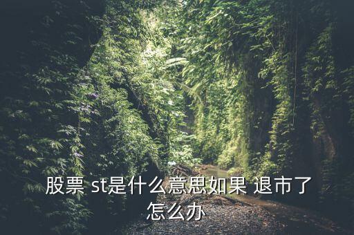 st二重退市股票怎么辦,st前加星號是退市風(fēng)險提示