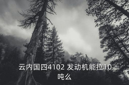  云內(nèi)國四4102 發(fā)動機能拉10噸么