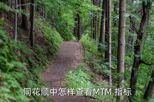  同花順中怎樣查看MTM 指標