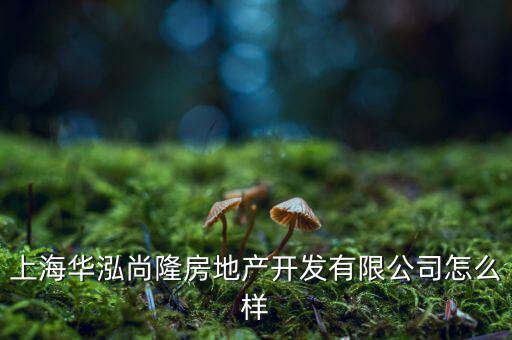 上海華泓尚隆房地產(chǎn)開(kāi)發(fā)有限公司怎么樣