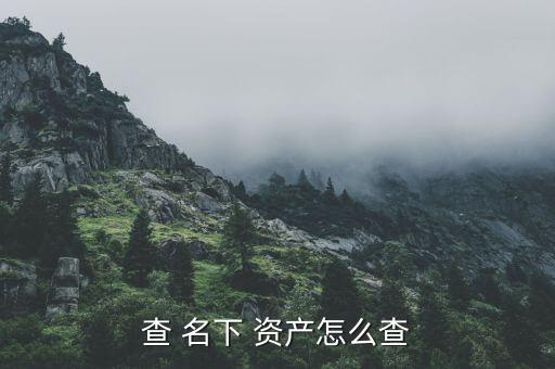 查 名下 資產(chǎn)怎么查