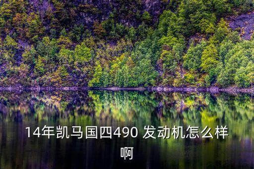 14年凱馬國四490 發(fā)動機怎么樣啊