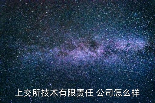 上交所技術(shù)有限責任 公司怎么樣