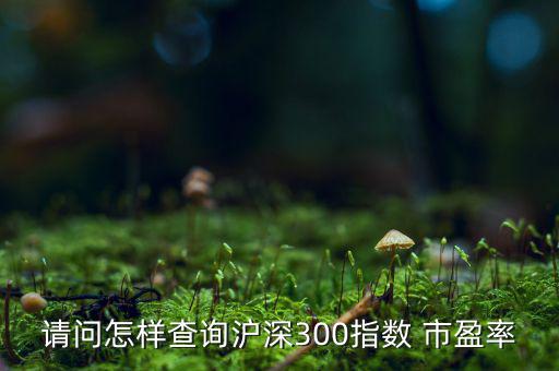 請(qǐng)問(wèn)怎樣查詢(xún)滬深300指數(shù) 市盈率