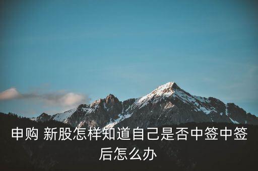 申購(gòu) 新股怎樣知道自己是否中簽中簽后怎么辦