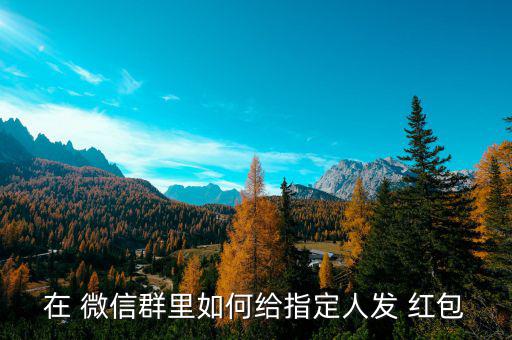 微信群定向紅包怎么發(fā),微信可以發(fā)送友人紅包或進(jìn)入微信錢包