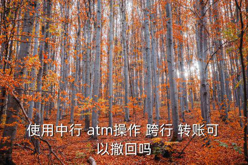 atm跨行轉(zhuǎn)賬錯(cuò)誤怎么辦,轉(zhuǎn)賬新規(guī)則