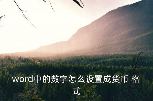 word中的數(shù)字怎么設置成貨幣 格式