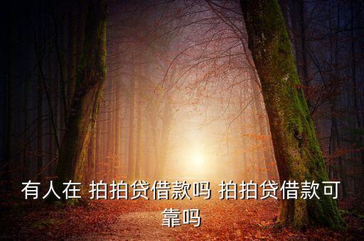 拍拍貸理財(cái)怎么樣,上海拍拍貸款金融信息服務(wù)有限公司