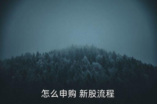 怎么搖新股,訂閱新股一定要記得申請(qǐng)法律依據(jù):公司發(fā)布新股