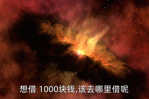 個人借1000怎么帶,如何申請小額貸款?