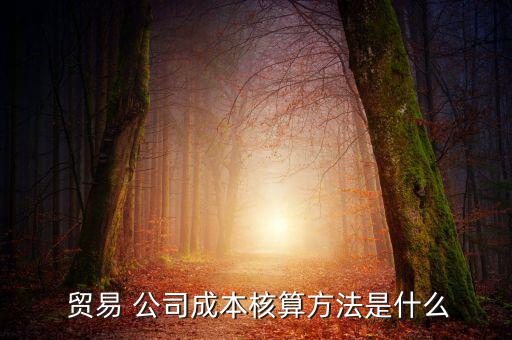  貿(mào)易 公司成本核算方法是什么