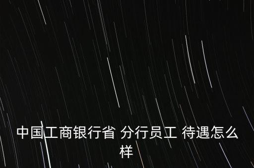 中國工商銀行省 分行員工 待遇怎么樣