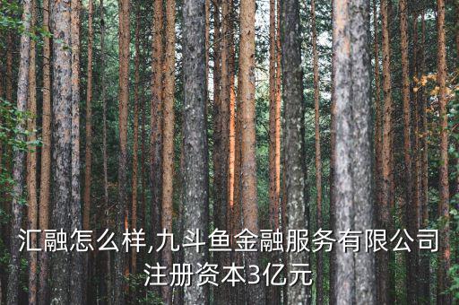 耀盛匯融怎么樣,九斗魚金融服務(wù)有限公司注冊(cè)資本3億元