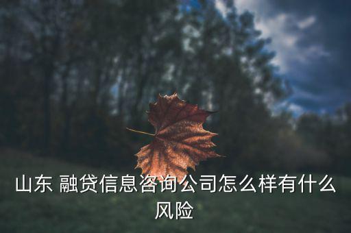 山東 融貸信息咨詢公司怎么樣有什么風(fēng)險(xiǎn)