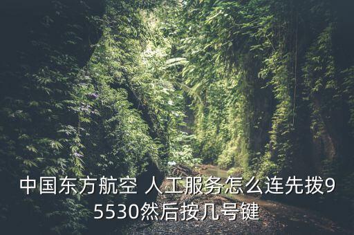 中國東方航空 人工服務(wù)怎么連先撥95530然后按幾號(hào)鍵