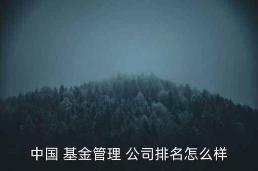 中國 基金管理 公司排名怎么樣