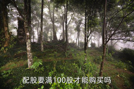 100股怎么買,中國(guó)股市規(guī)定大部分股票可以買100股以上