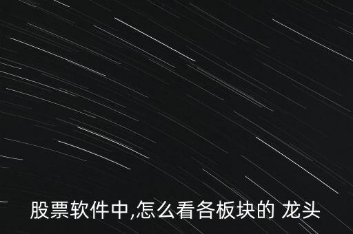 股票軟件中,怎么看各板塊的 龍頭