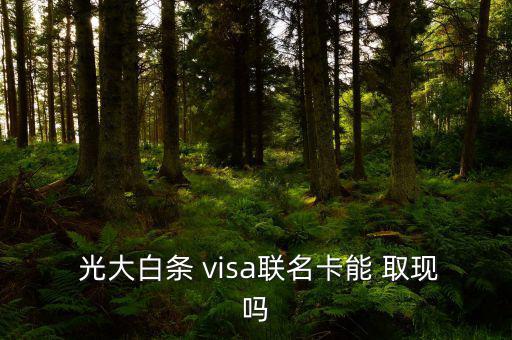  光大白條 visa聯(lián)名卡能 取現(xiàn)嗎