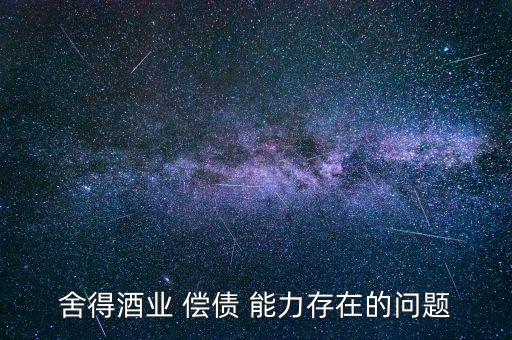 償債能力低怎么辦,財產負債率越低越好償債能力越強