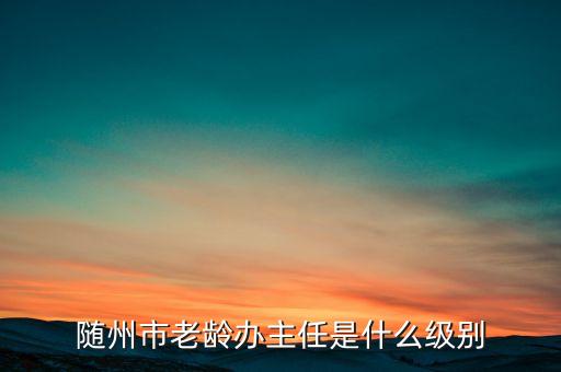 全國(guó)老齡辦副主任什么級(jí)別，全國(guó)老齡委辦公室副主任 什么級(jí)別