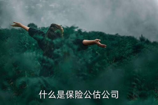 什么是承保公估，保險中的公估是什么概念