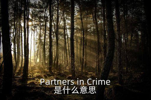 人工角膜是什么，Partners in Crime是什么意思