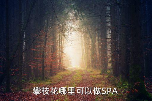 雅化集團攀枝花恒泰做什么的，攀枝花哪里可以做SPA