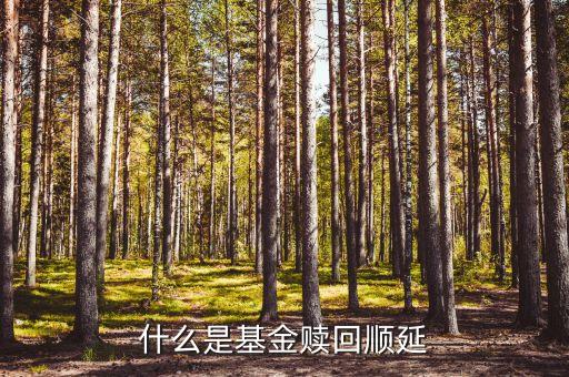 巨額贖回順延什么意思，什么是基金贖回順延