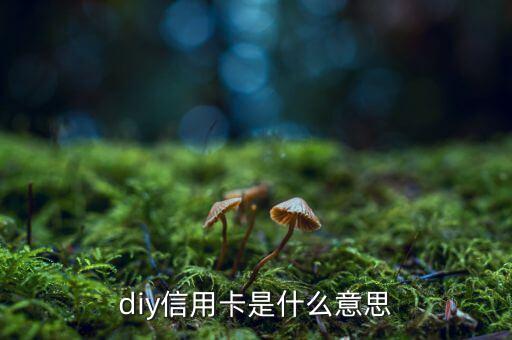 diy信用卡是什么意思，D1y信用卡是什么意思