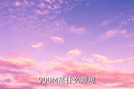 負(fù)債900m是什么意思，900m是什么意思